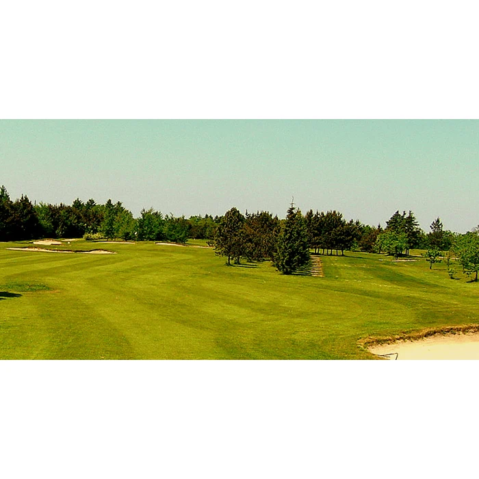 2 greenfee billetter + buggy til Åskov Golfklub